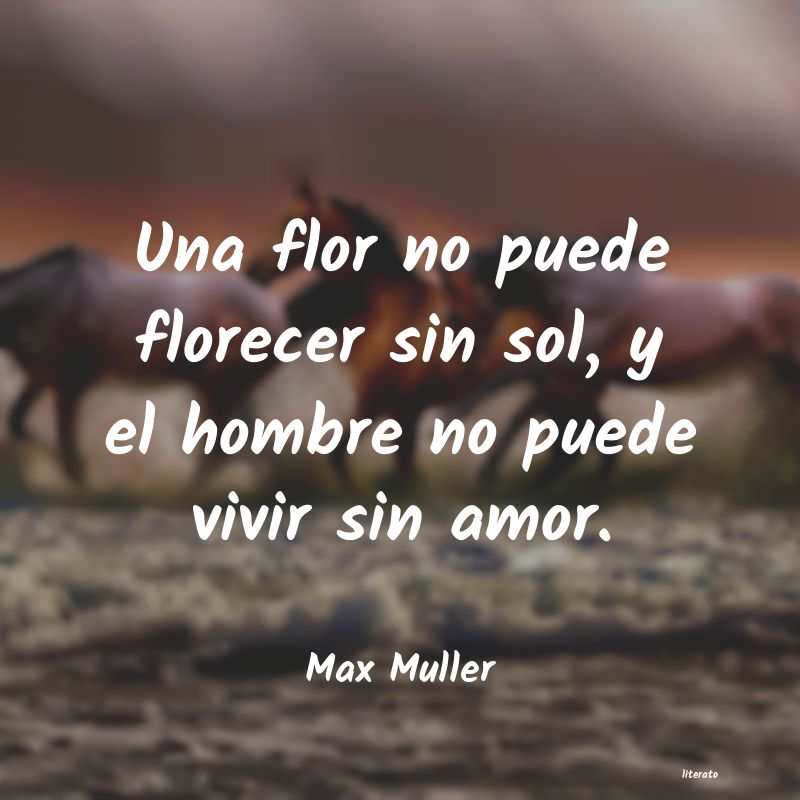 Frases de Max Muller