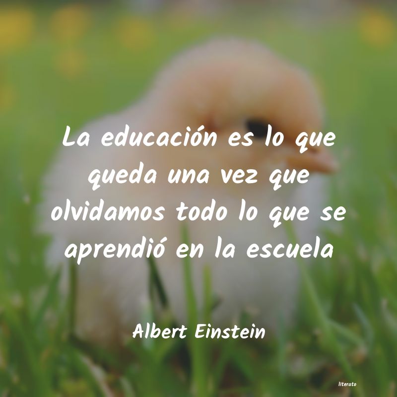 Frases de Albert Einstein