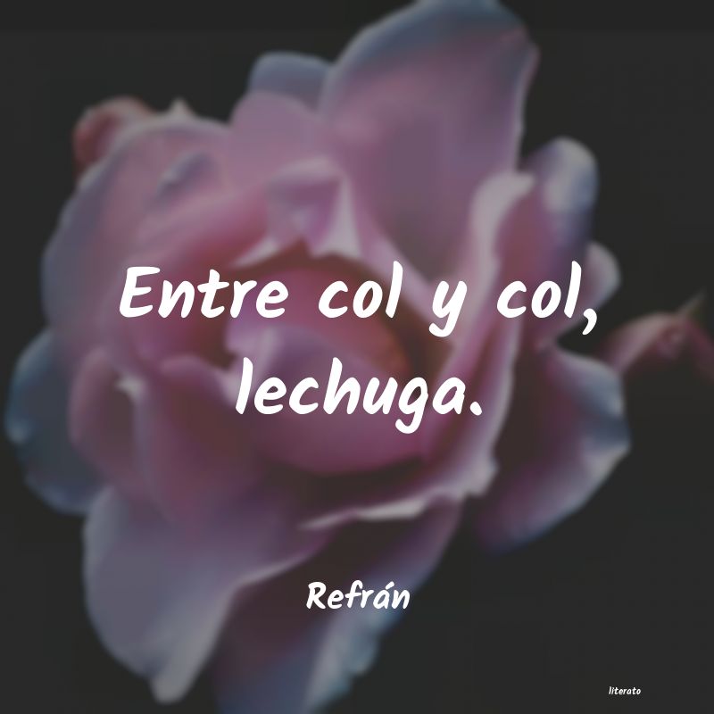 Frases de Refrán