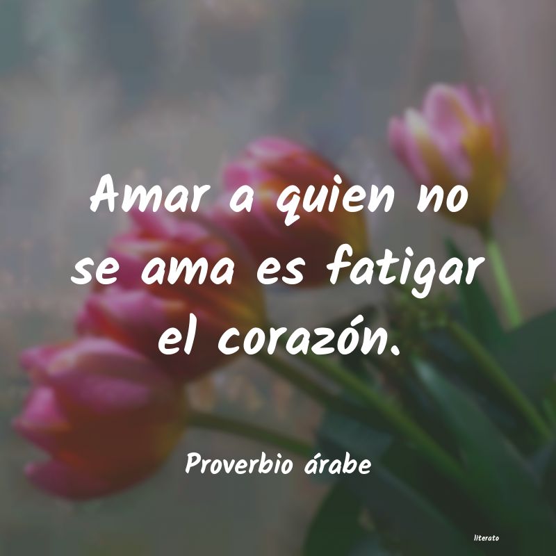 Frases de Proverbio árabe