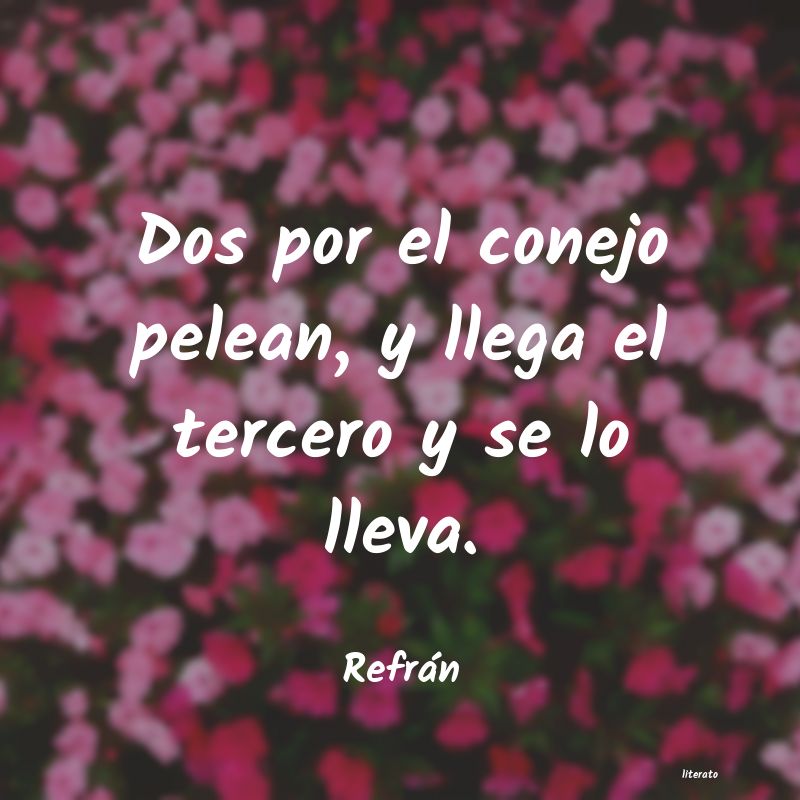 frases de Refrán