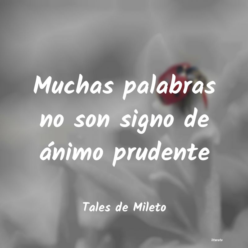 frases de Tales de Mileto