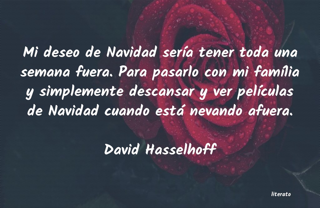 Frases de David Hasselhoff