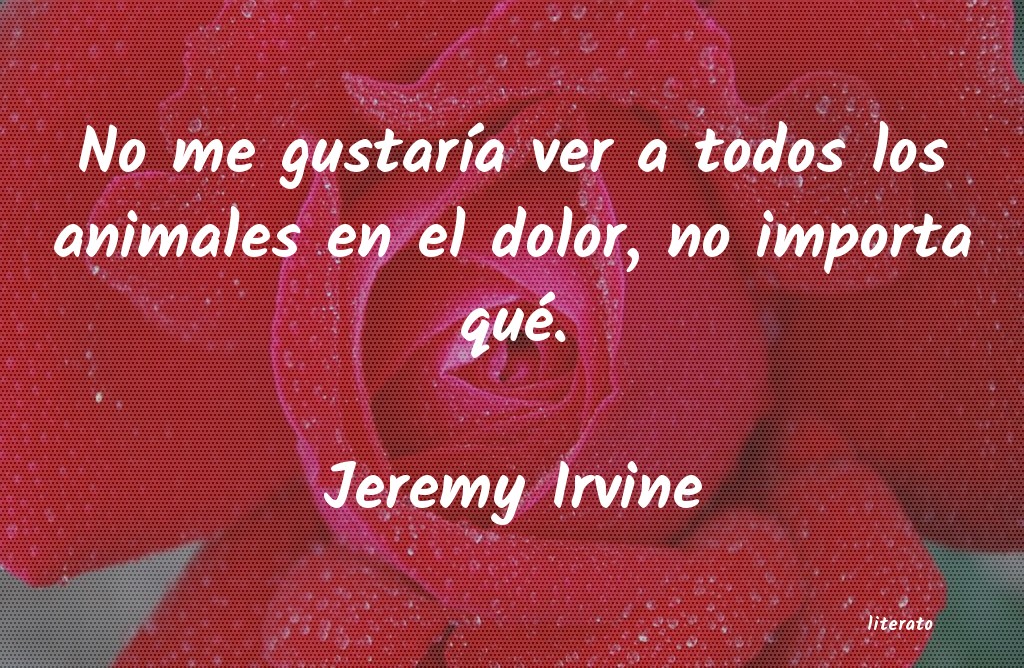 frases de Jeremy Irvine