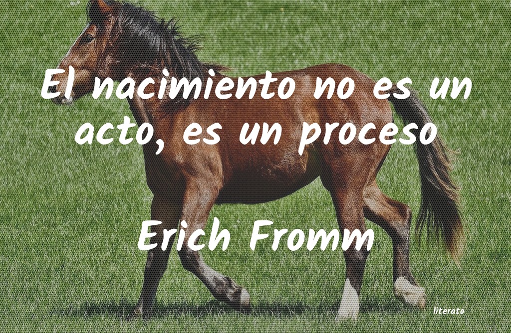 frases de Erich Fromm
