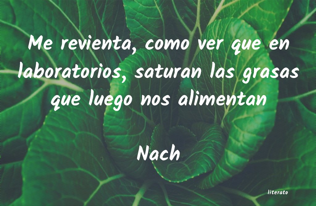 Frases de Nach