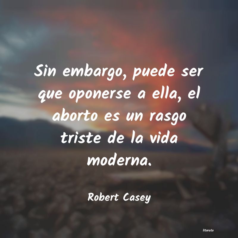 frases de Robert Casey
