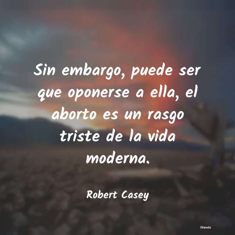 Frases de Robert Casey