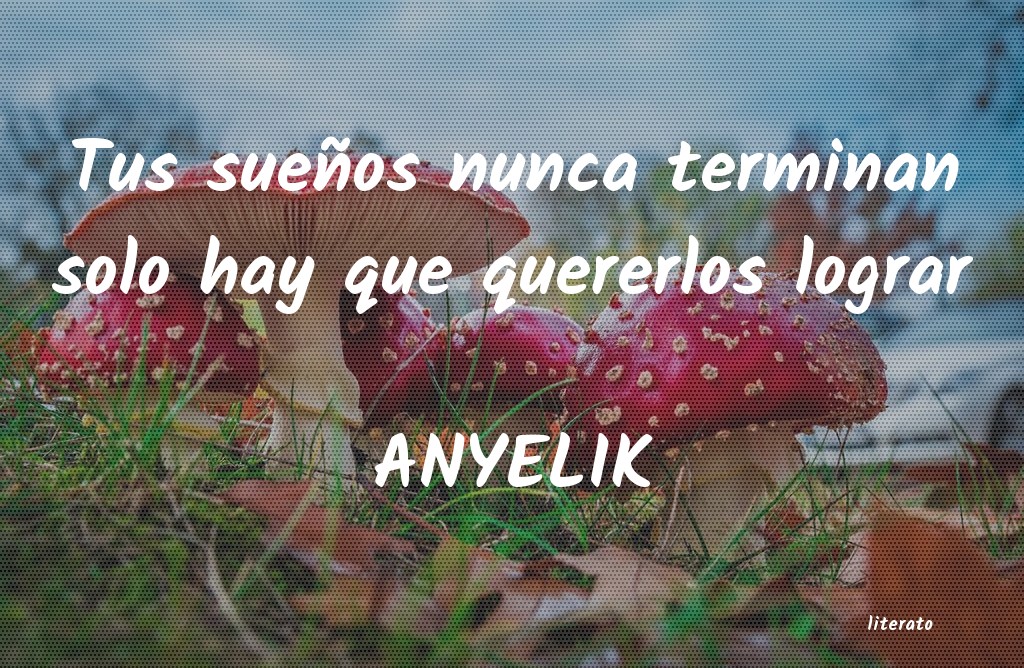 Frases de ANYELIK