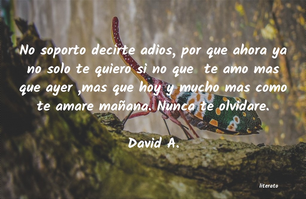 Frases de David A.