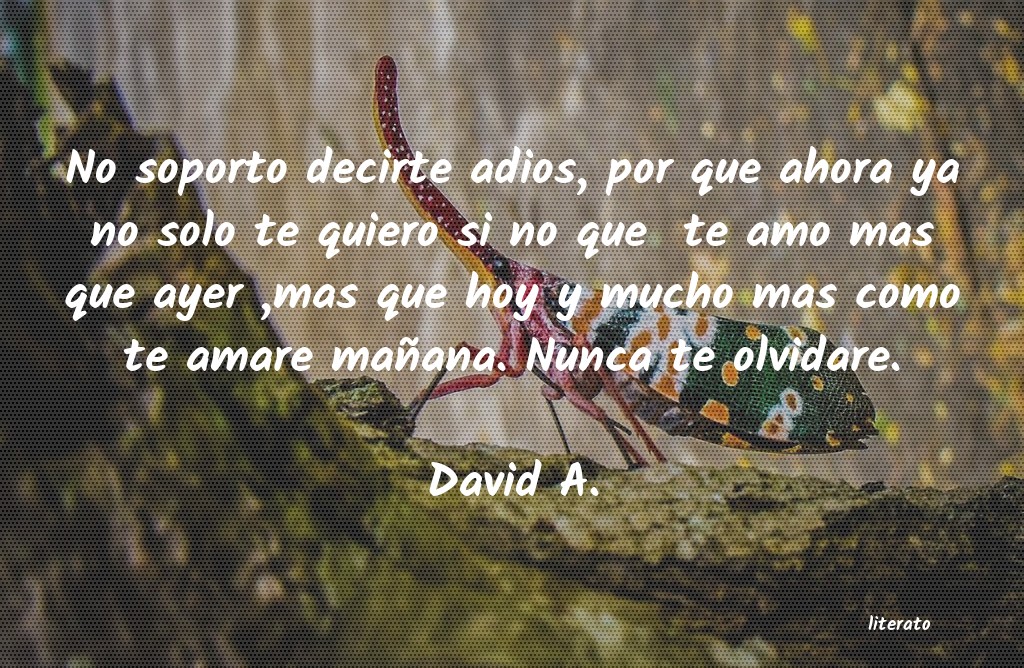 David A.: No soporto decirte adios, por