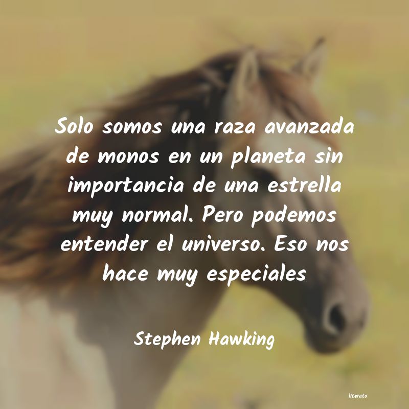 frases de Stephen Hawking