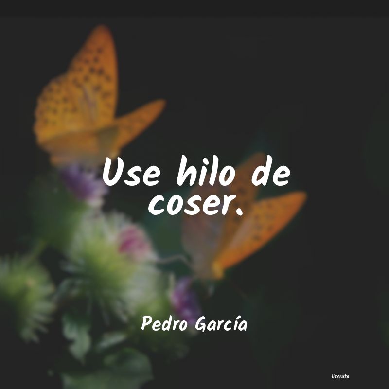 frases de Pedro GarcÃa