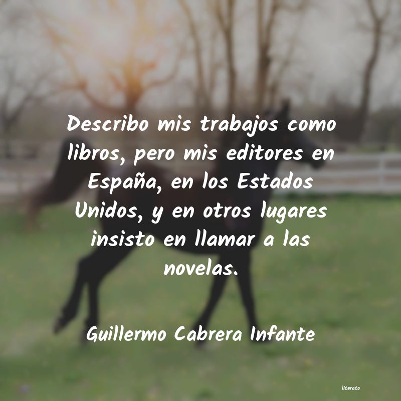 frases de Guillermo Cabrera Infante