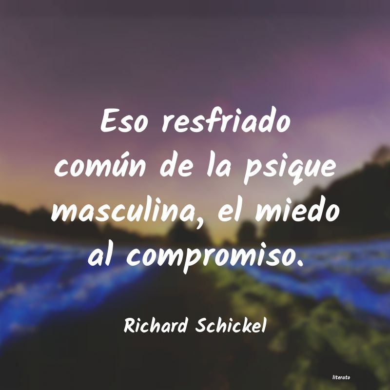 frases de Richard Schickel