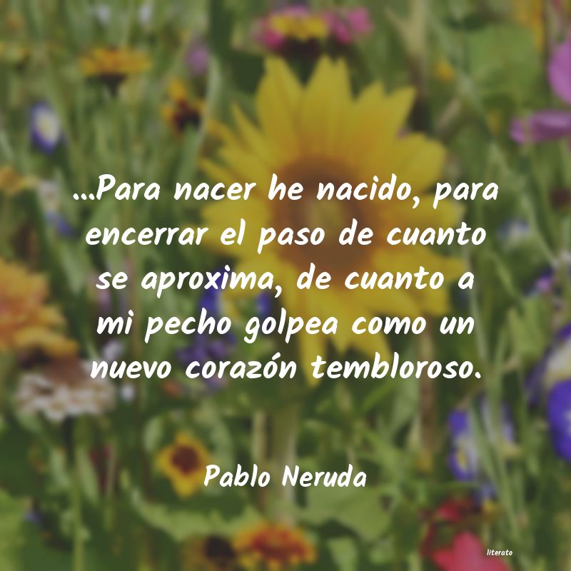 Frases de Pablo Neruda