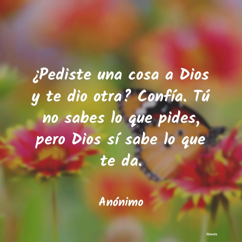 frases