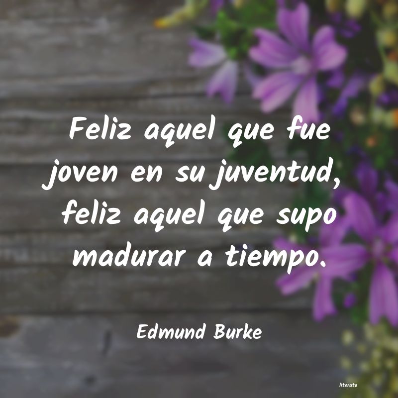 Frases de Edmund Burke