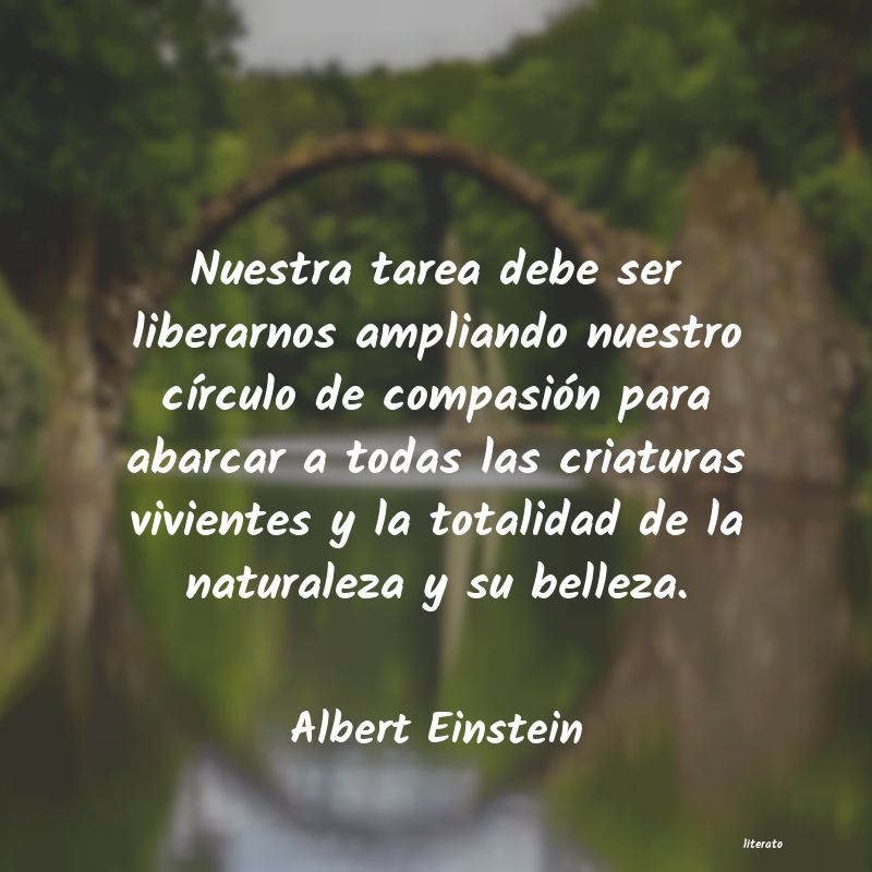 <ol class='breadcrumb' itemscope itemtype='http://schema.org/BreadcrumbList'>
<li itemprop='itemListElement'><a href='/autores/'>Autores</a></li>
<li itemprop='itemListElement'><a href='/autor/albert_einstein/'>Albert Einstein</a></li>
</ol>
