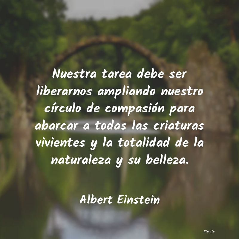 Frases de Albert Einstein