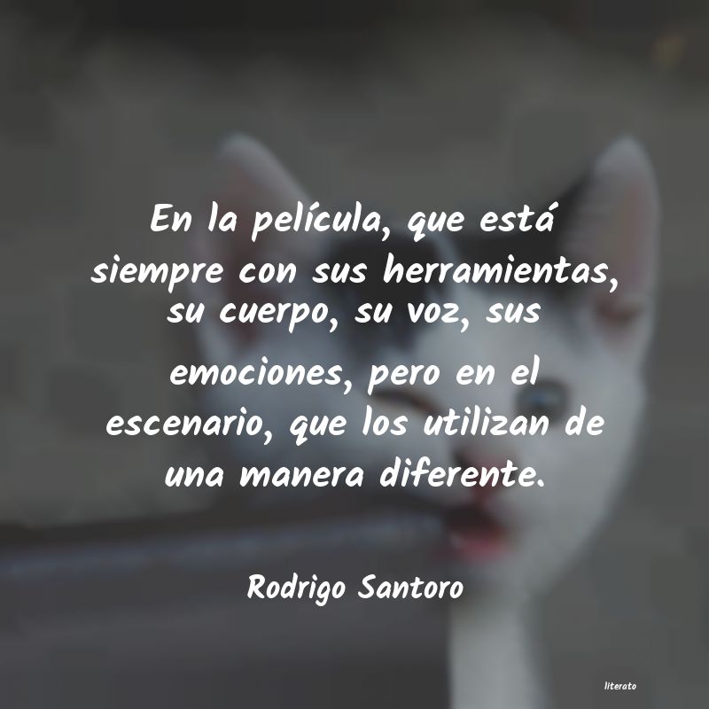 Frases de Rodrigo Santoro