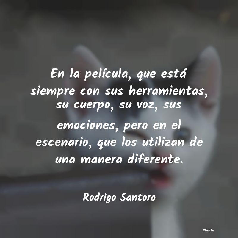 frases de Rodrigo Santoro