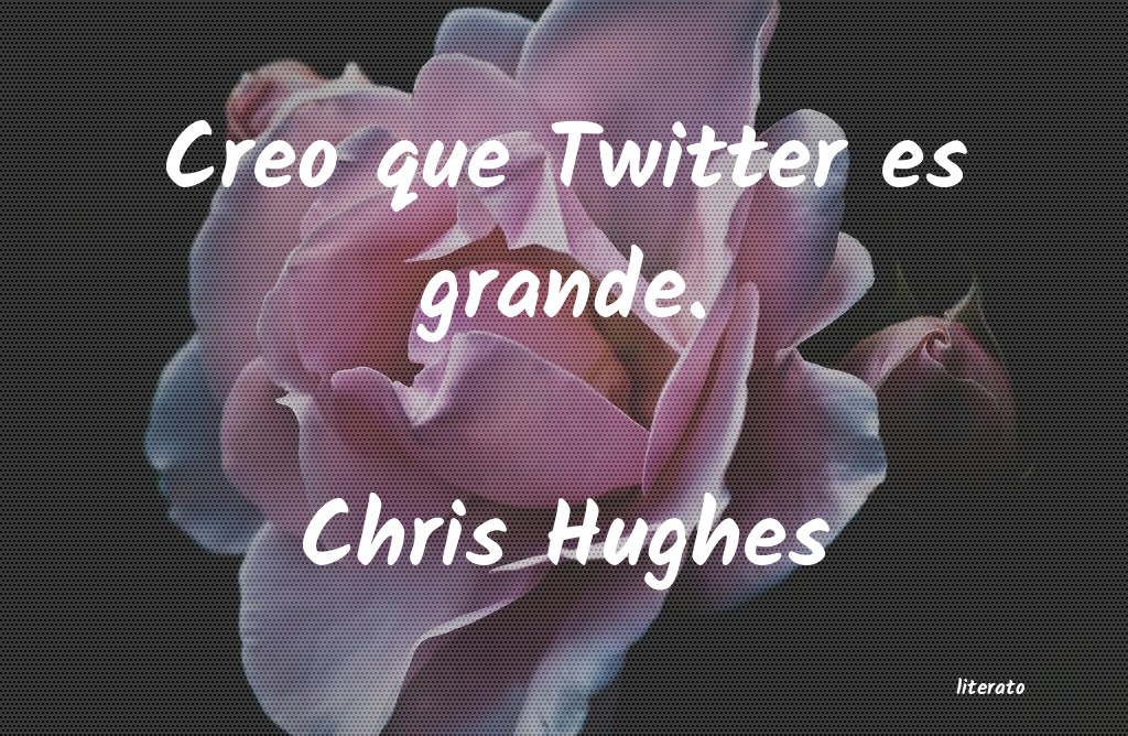 Frases de Chris Hughes