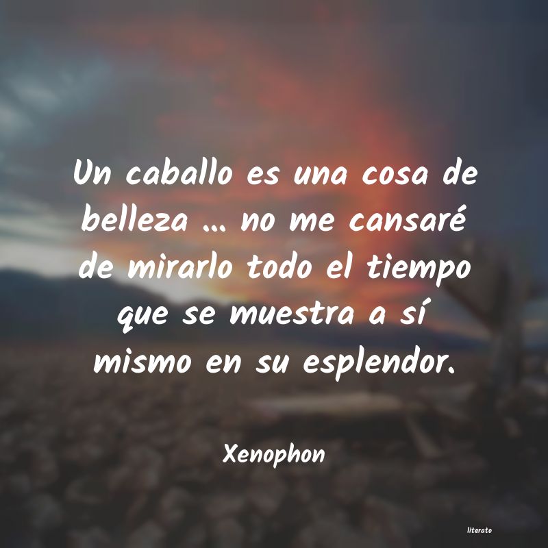 frases de Xenophon