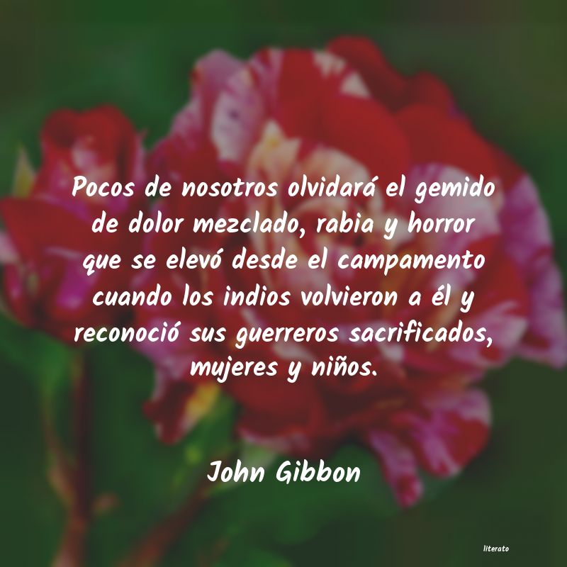 Frases de John Gibbon