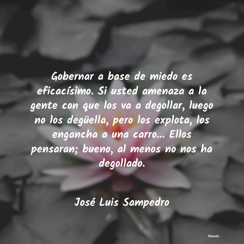 Frases de José Luis Sampedro