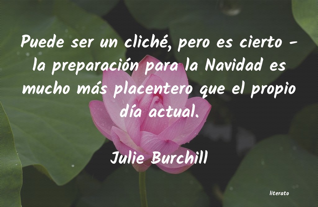 Frases de Julie Burchill