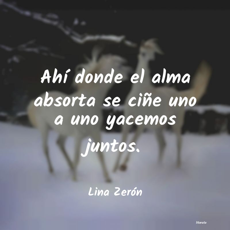 Frases de Lina Zerón