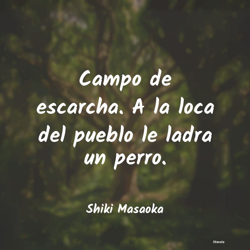 frases de Shiki Masaoka
