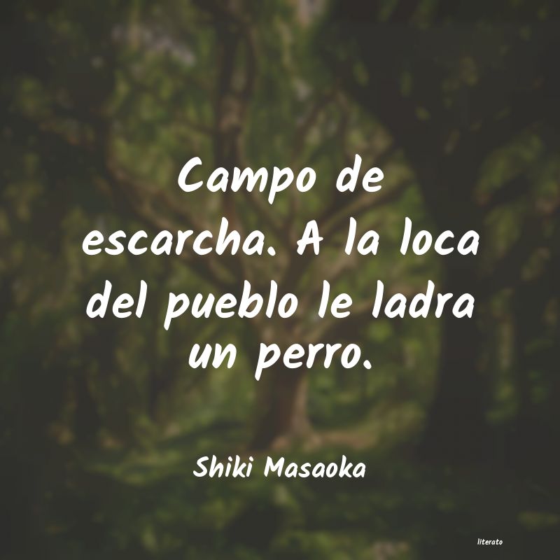 Frases de Shiki Masaoka