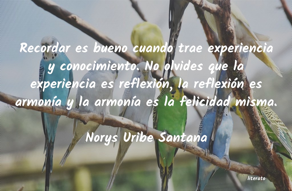 frases de Norys Uribe Santana