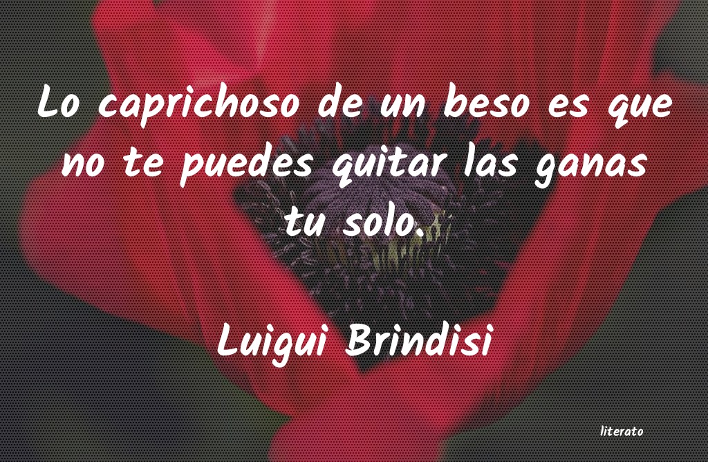 frases de Luigui Brindisi