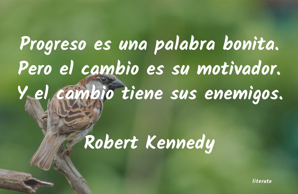 frases de Robert Kennedy