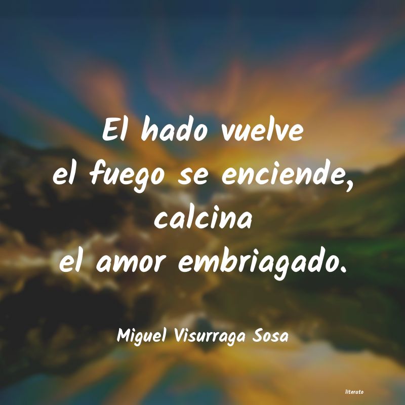 frases de Miguel Visurraga Sosa