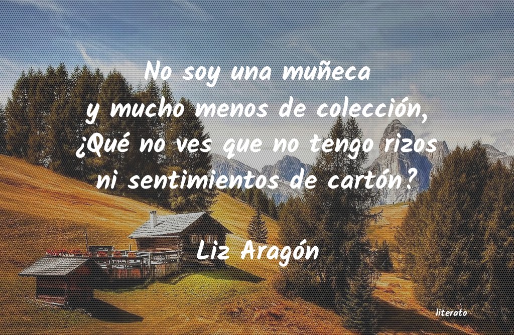 Frases de Liz Aragón