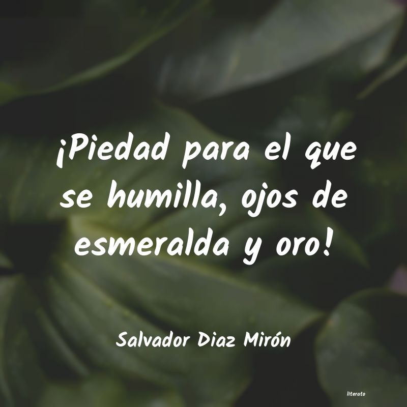 Frases de Salvador Diaz Mirón