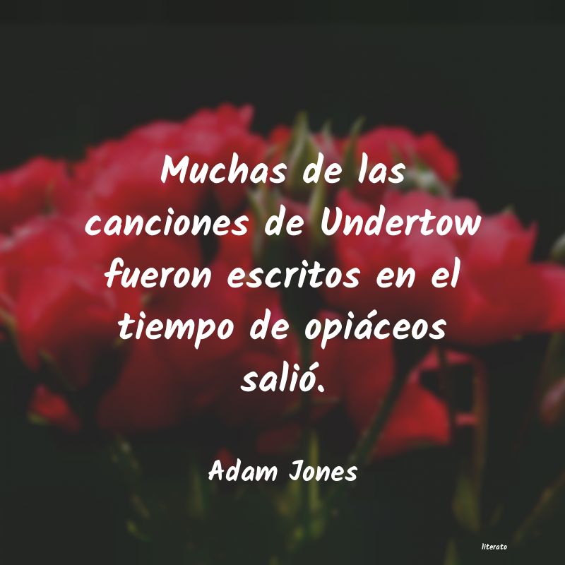 frases de Adam Jones