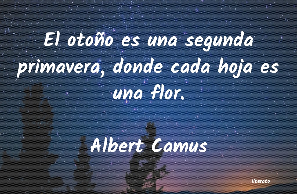 Frases de Albert Camus