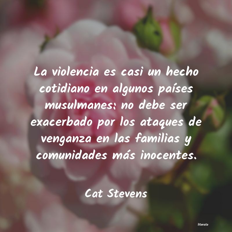 Frases de Cat Stevens