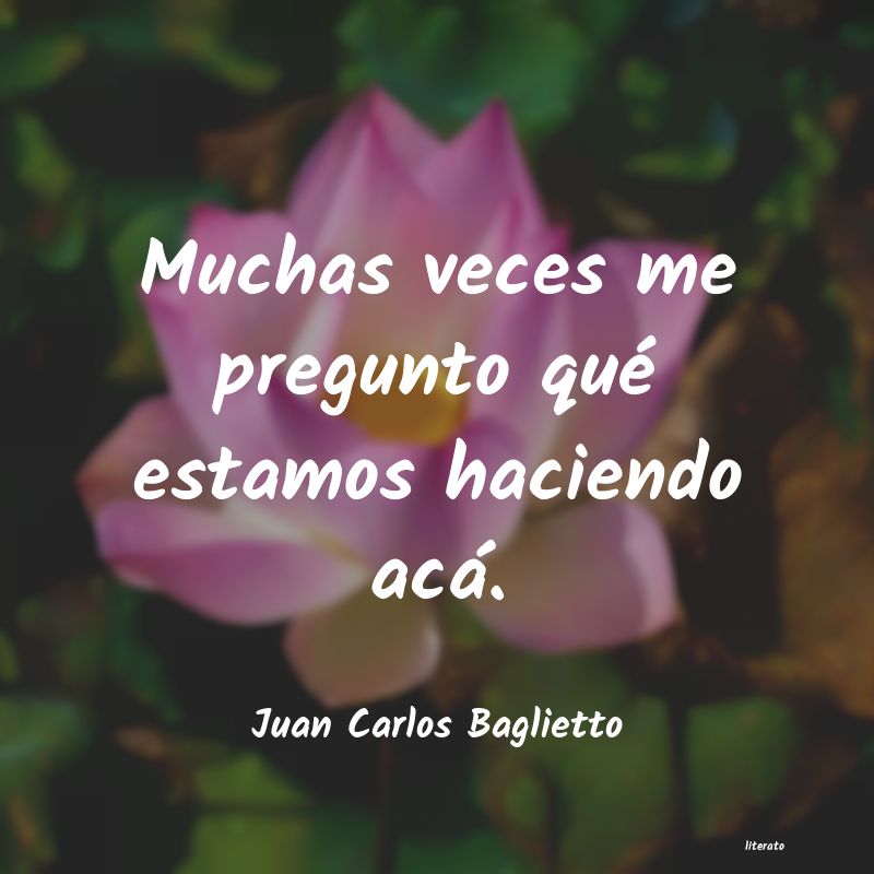 Frases de Juan Carlos Baglietto