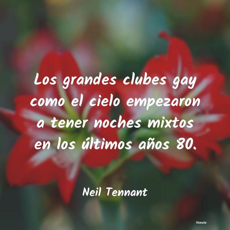 Frases de Neil Tennant