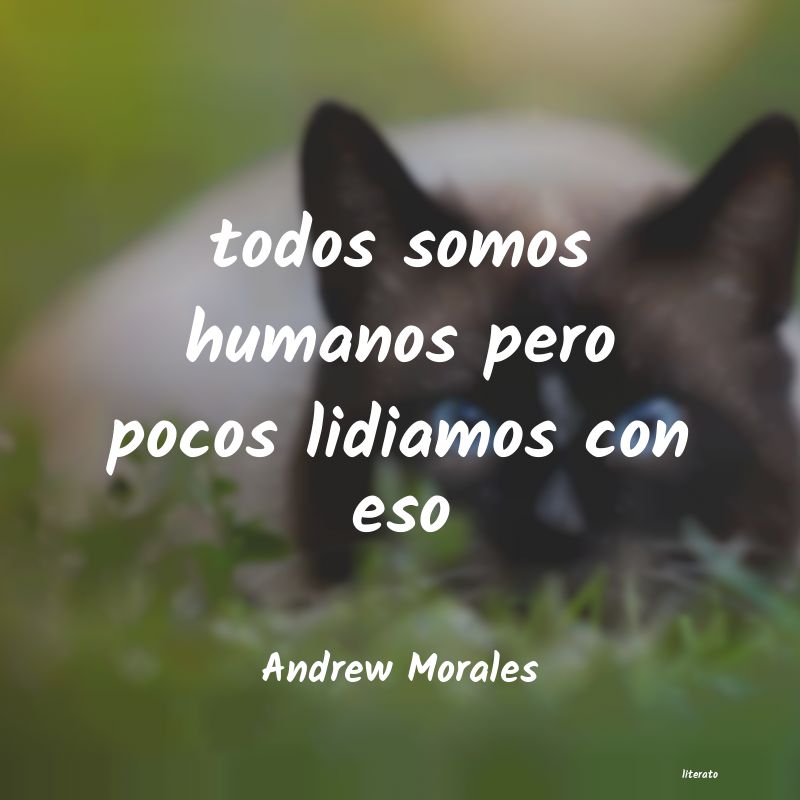 Frases de Andrew Morales