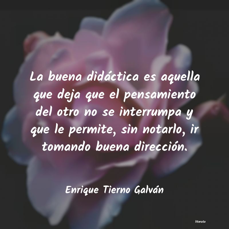 frases de Enrique Tierno Galván