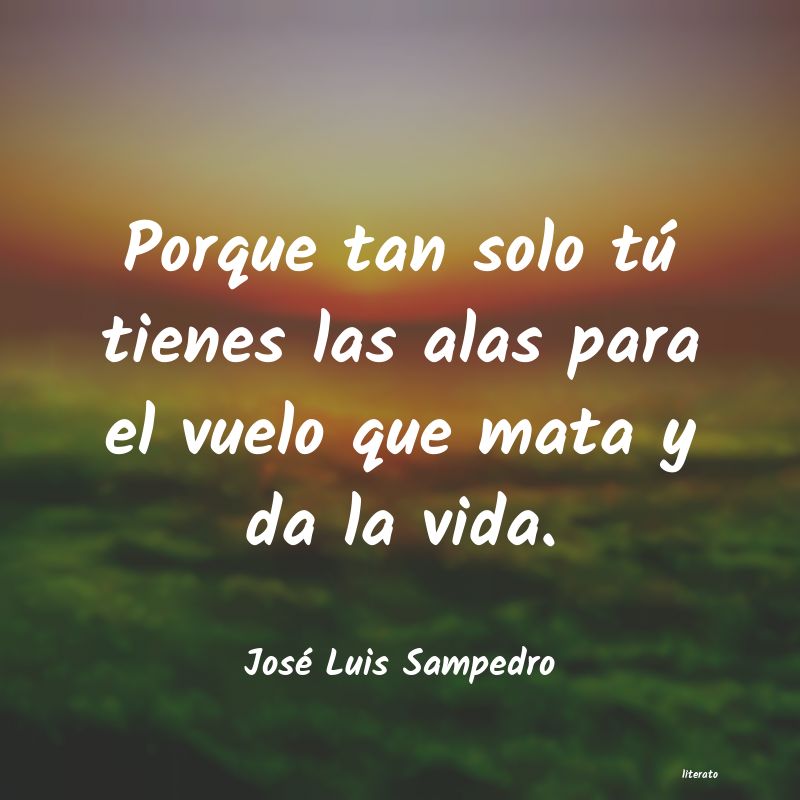 frases de José Luis Sampedro