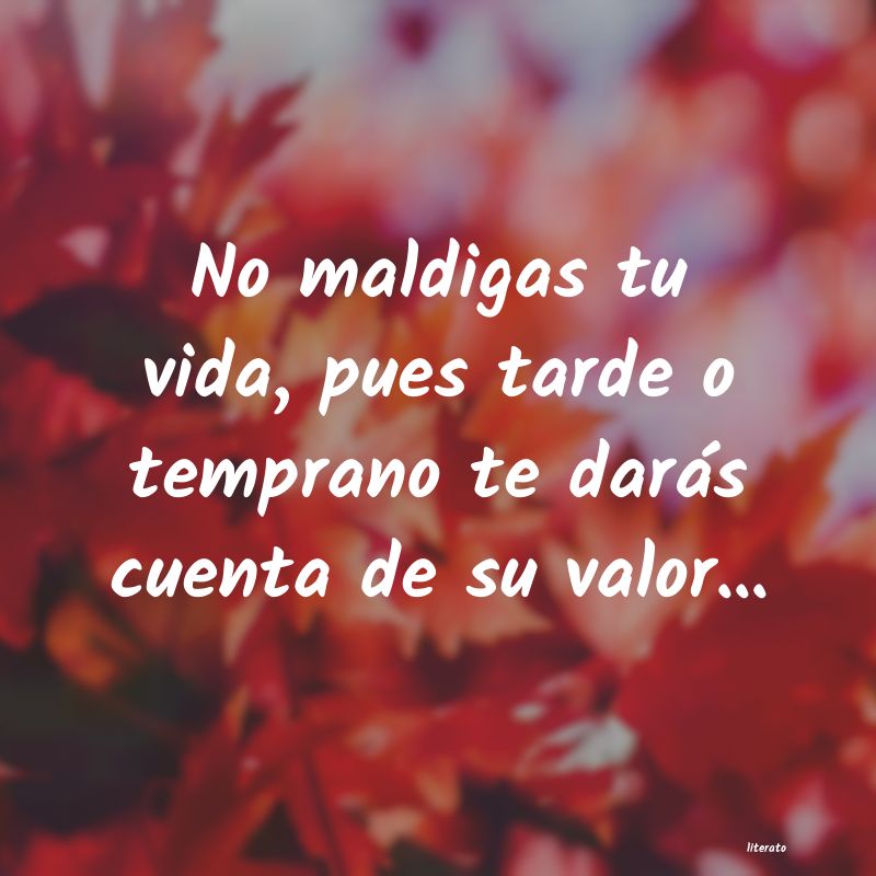 frases