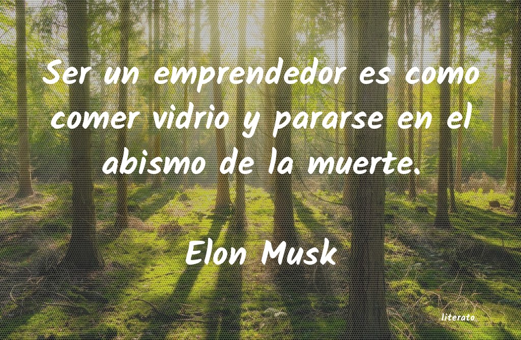 Frases de Elon Musk